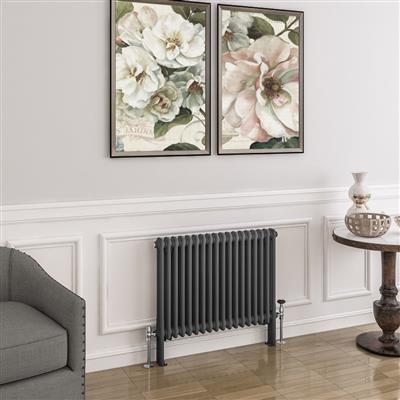 Imperia Matt Anthracite Two Column Traditional Radiator 600 x 830mm